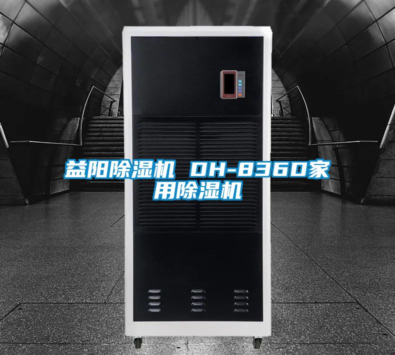 益陽(yáng)除濕機 DH-836D家用除濕機