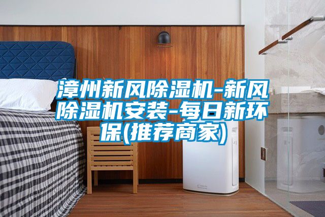 漳州新風(fēng)除濕機-新風(fēng)除濕機安裝-每日新環(huán)保(推薦商家)