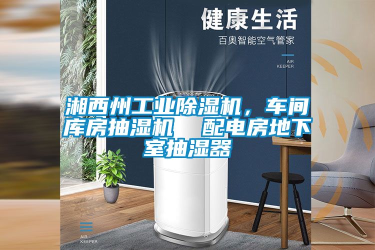 湘西州工業(yè)除濕機，車(chē)間庫房抽濕機  配電房地下室抽濕器