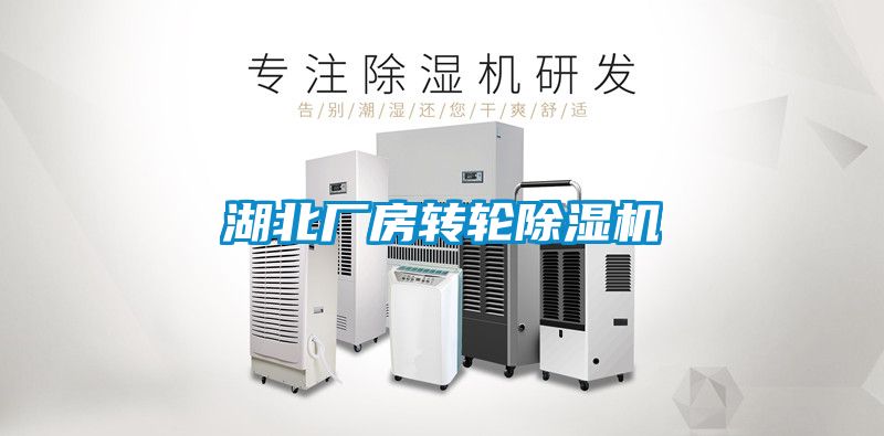 湖北廠(chǎng)房轉輪除濕機