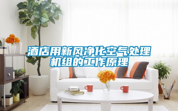 酒店用新風(fēng)凈化空氣處理機組的工作原理