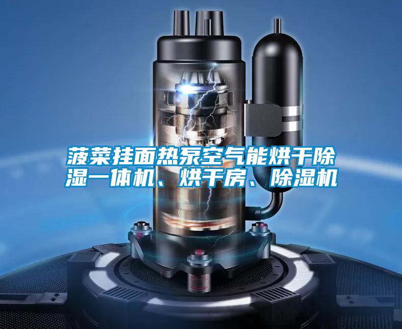菠菜掛面熱泵空氣能烘干除濕一體機、烘干房、除濕機