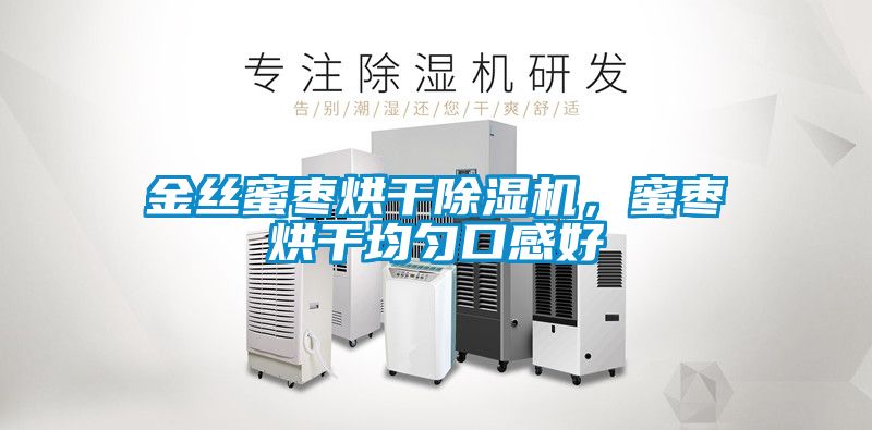 金絲蜜棗烘干除濕機，蜜棗烘干均勻口感好