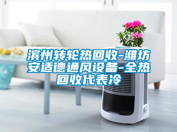 濱州轉輪熱回收-濰坊安適德通風(fēng)設備-全熱回收代表冷