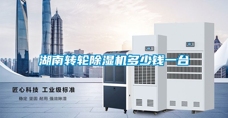 湖南轉輪除濕機多少錢(qián)一臺