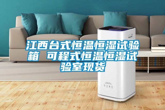 江西臺式恒溫恒濕試驗箱 可程式恒溫恒濕試驗室現貨
