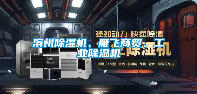 濱州除濕機、雁飛商貿、工業(yè)除濕機