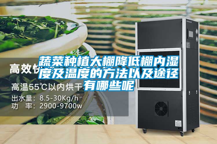 蔬菜種植大棚降低棚內濕度及溫度的方法以及途徑有哪些呢