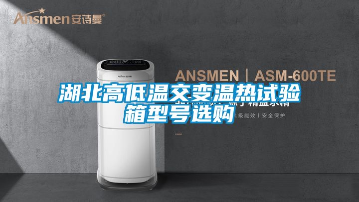 湖北高低溫交變溫熱試驗箱型號選購