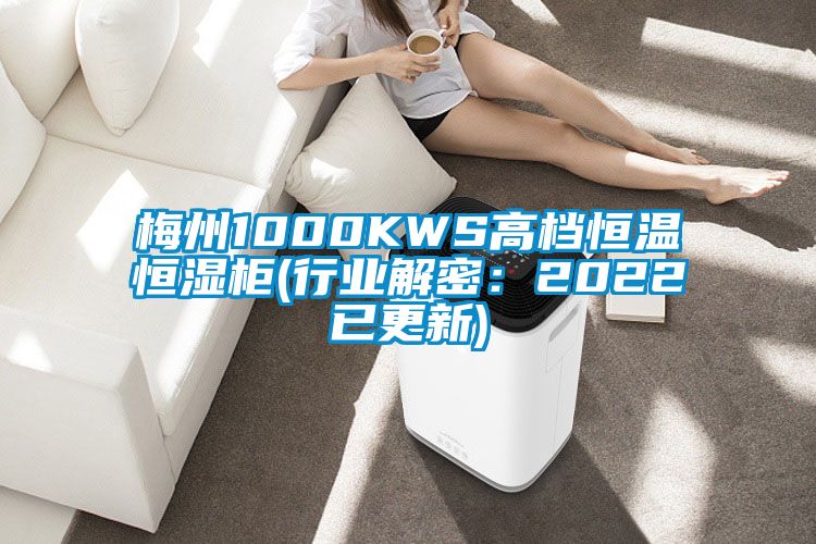 梅州1000KWS高檔恒溫恒濕柜(行業(yè)解密：2022已更新)