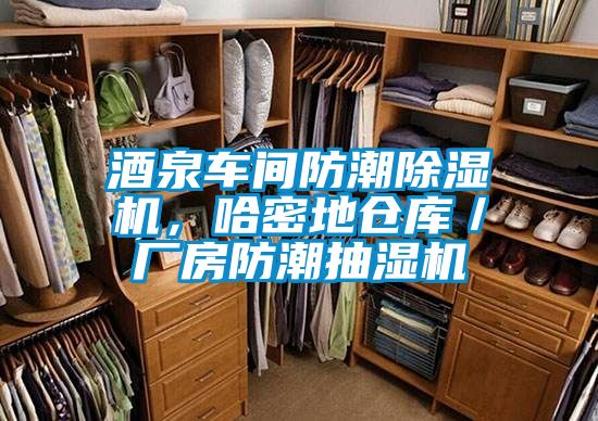 酒泉車(chē)間防潮除濕機，哈密地倉庫／廠(chǎng)房防潮抽濕機