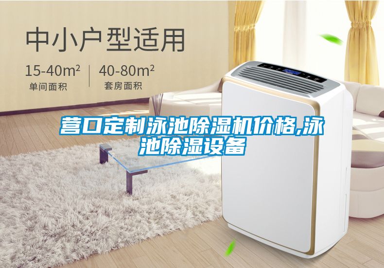 營(yíng)口定制泳池除濕機價(jià)格,泳池除濕設備
