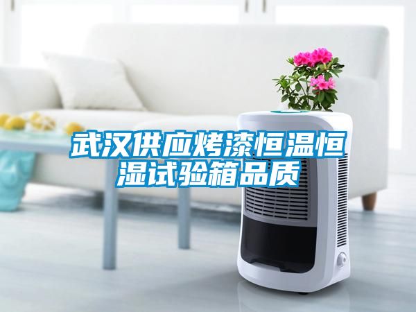 武漢供應烤漆恒溫恒濕試驗箱品質(zhì)