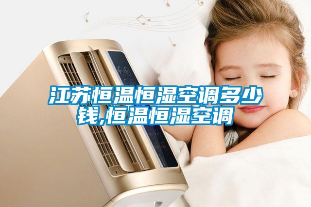 江蘇恒溫恒濕空調多少錢(qián),恒溫恒濕空調