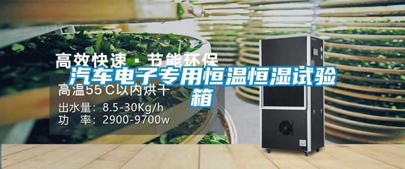 汽車(chē)電子專(zhuān)用恒溫恒濕試驗箱