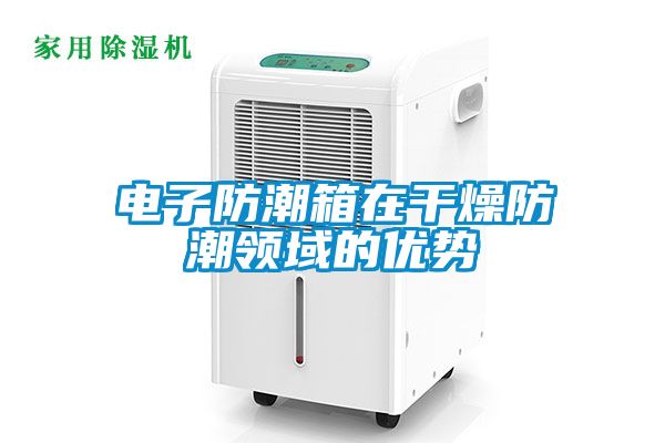 電子防潮箱在干燥防潮領(lǐng)域的優(yōu)勢