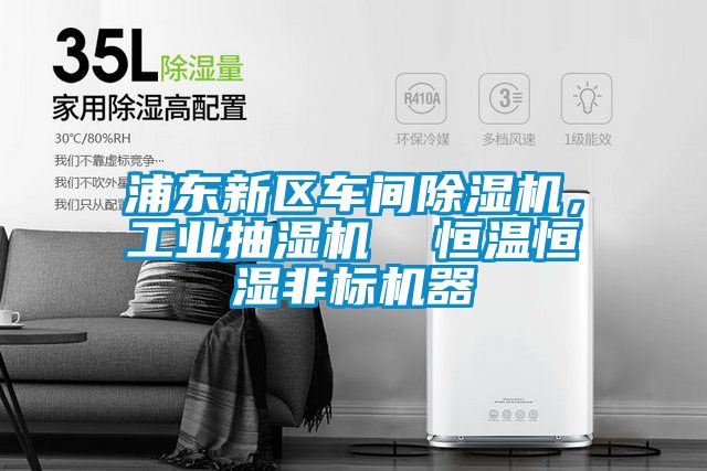 浦東新區車(chē)間除濕機，工業(yè)抽濕機  恒溫恒濕非標機器
