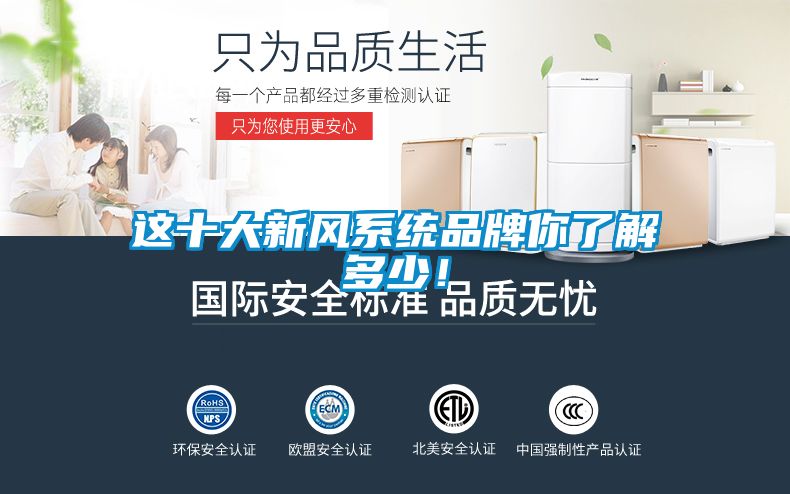 這十大新風(fēng)系統品牌你了解多少！