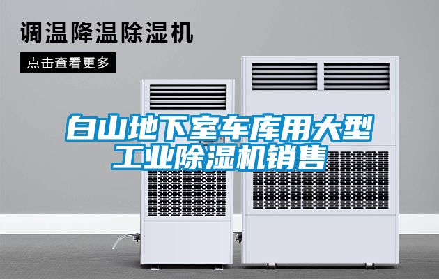 白山地下室車(chē)庫用大型工業(yè)除濕機銷(xiāo)售