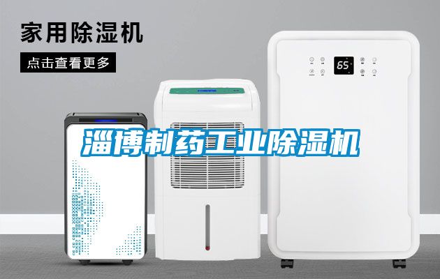淄博制藥工業(yè)除濕機
