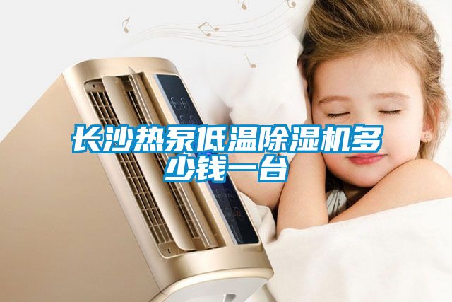 長(cháng)沙熱泵低溫除濕機多少錢(qián)一臺