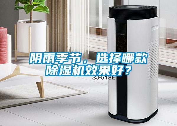 陰雨季節，選擇哪款除濕機效果好？