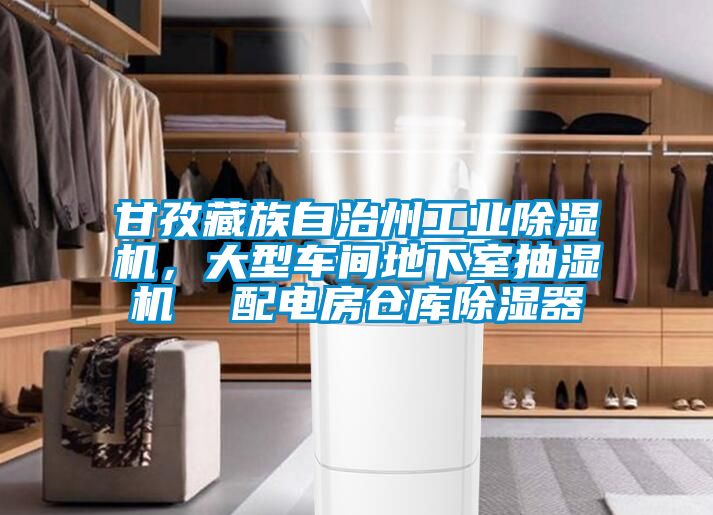 甘孜藏族自治州工業(yè)除濕機，大型車(chē)間地下室抽濕機  配電房倉庫除濕器