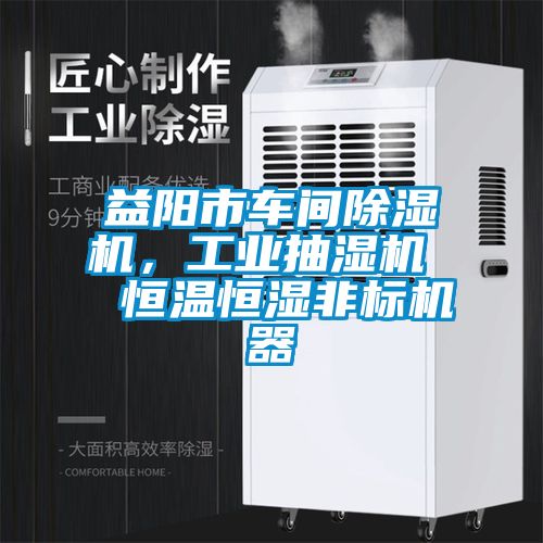 益陽(yáng)市車(chē)間除濕機，工業(yè)抽濕機  恒溫恒濕非標機器