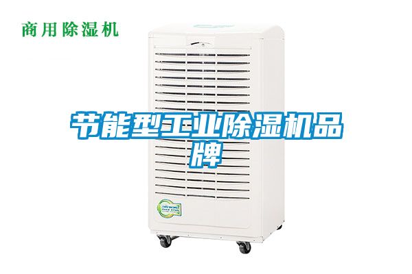 節能型工業(yè)除濕機品牌
