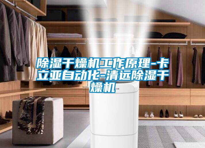 除濕干燥機工作原理-卡立亞自動(dòng)化-清遠除濕干燥機