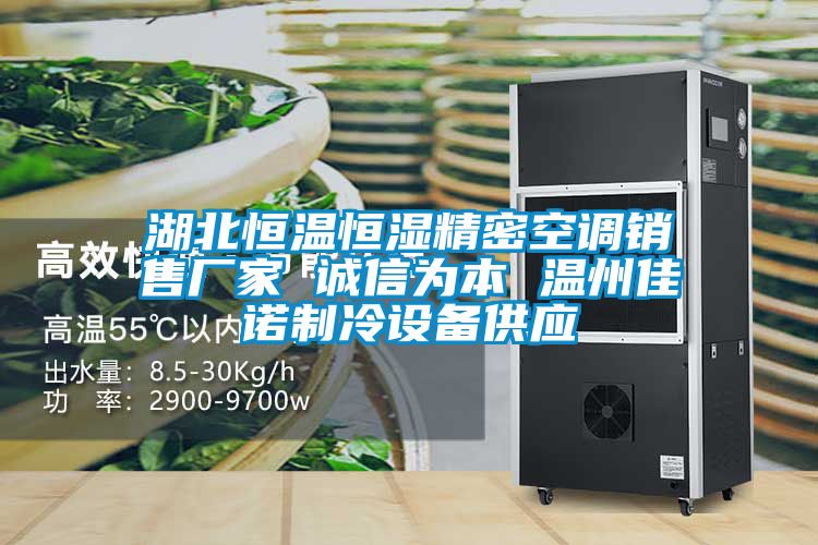 湖北恒溫恒濕精密空調銷(xiāo)售廠(chǎng)家 誠信為本 溫州佳諾制冷設備供應