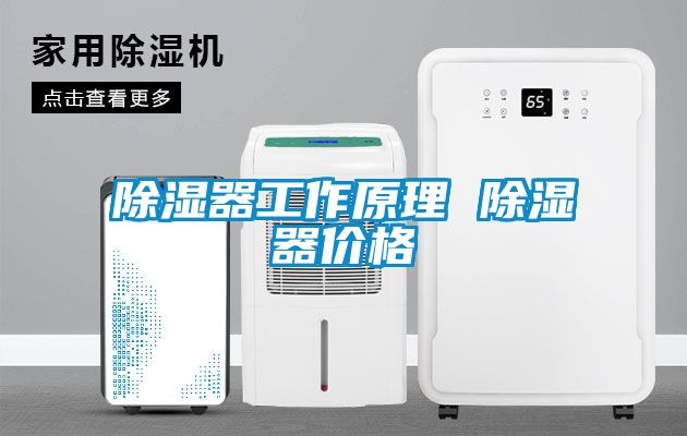 除濕器工作原理 除濕器價(jià)格