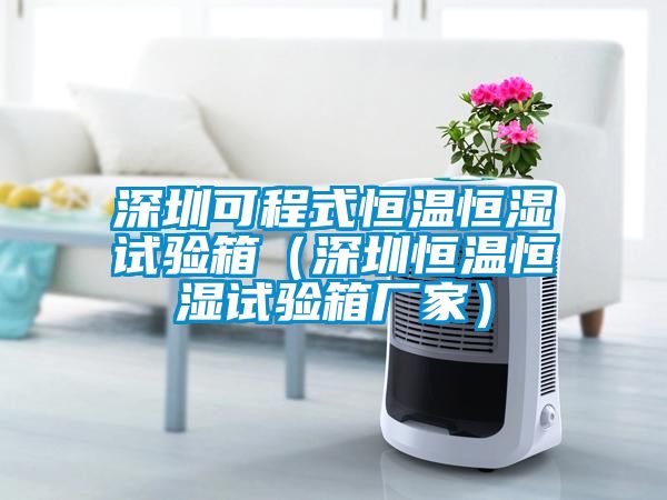 深圳可程式恒溫恒濕試驗箱（深圳恒溫恒濕試驗箱廠(chǎng)家）
