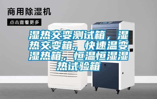 濕熱交變測試箱，濕熱交變箱，快速溫變濕熱箱，恒溫恒濕濕熱試驗箱