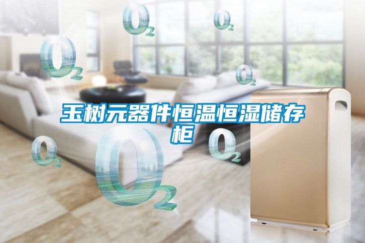 玉樹(shù)元器件恒溫恒濕儲存柜
