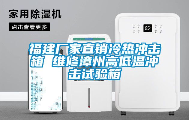 福建廠(chǎng)家直銷(xiāo)冷熱沖擊箱 維修漳州高低溫沖擊試驗箱