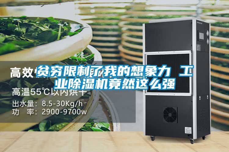 貧窮限制了我的想象力 工業(yè)除濕機竟然這么強