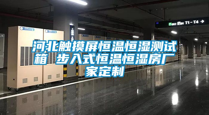 河北觸摸屏恒溫恒濕測試箱 步入式恒溫恒濕房廠(chǎng)家定制