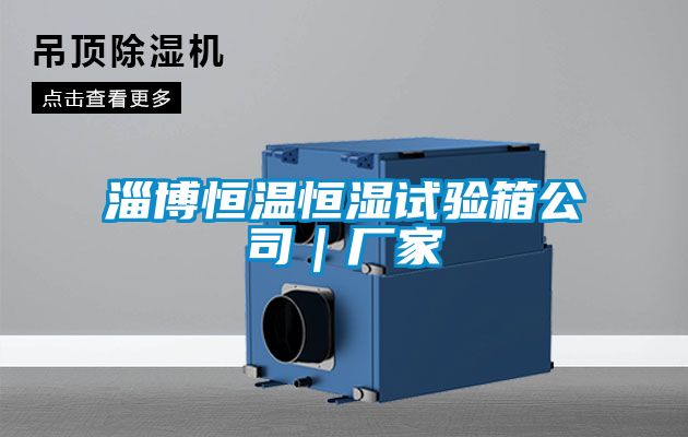 淄博恒溫恒濕試驗箱公司｜廠(chǎng)家