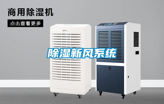 除濕新風(fēng)系統