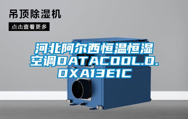 河北阿爾西恒溫恒濕空調DATACOOL.O.DXA13E1C