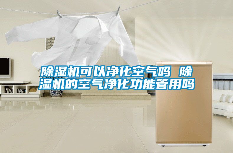 除濕機可以?xún)艋諝鈫?除濕機的空氣凈化功能管用嗎