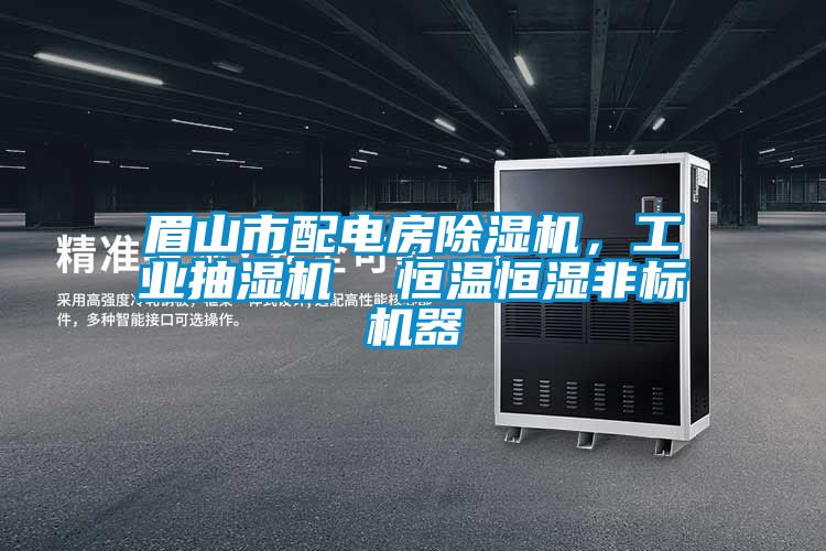 眉山市配電房除濕機，工業(yè)抽濕機  恒溫恒濕非標機器