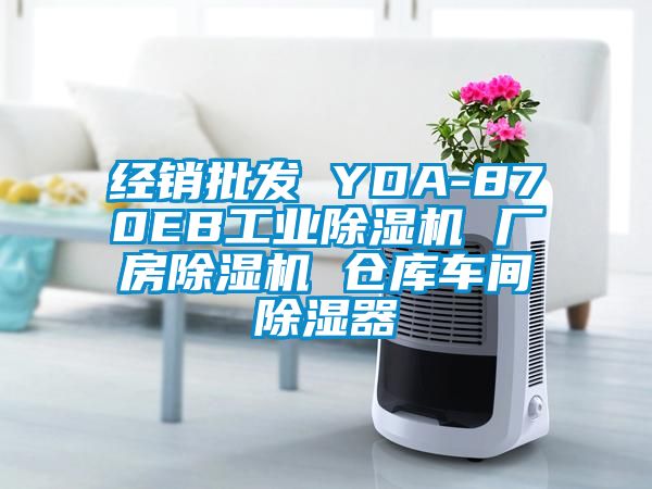 經(jīng)銷(xiāo)批發(fā) YDA-870EB工業(yè)除濕機 廠(chǎng)房除濕機 倉庫車(chē)間除濕器