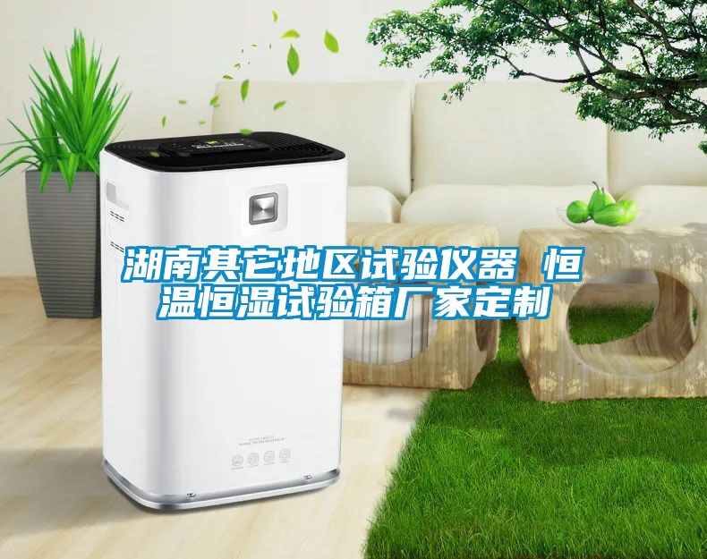 湖南其它地區試驗儀器 恒溫恒濕試驗箱廠(chǎng)家定制