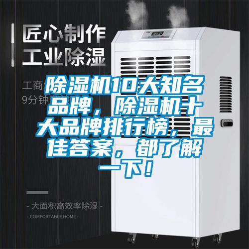 除濕機10大知名品牌，除濕機十大品牌排行榜，最佳答案，都了解一下！