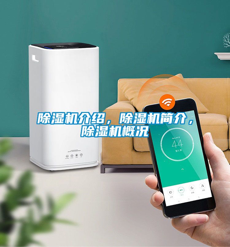 除濕機介紹，除濕機簡(jiǎn)介，除濕機概況