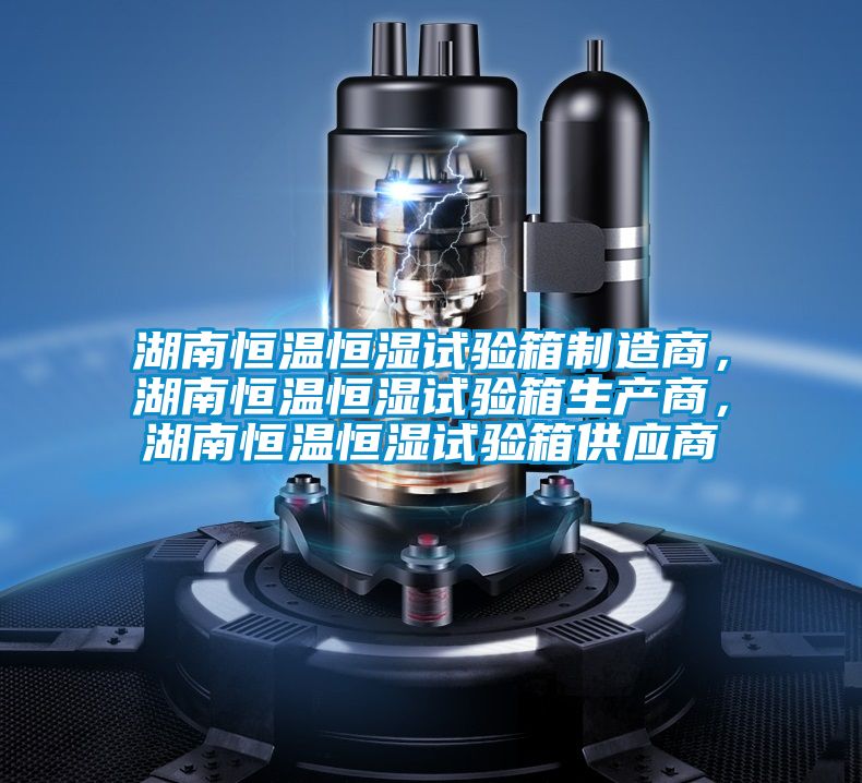 湖南恒溫恒濕試驗箱制造商，湖南恒溫恒濕試驗箱生產(chǎn)商，湖南恒溫恒濕試驗箱供應商