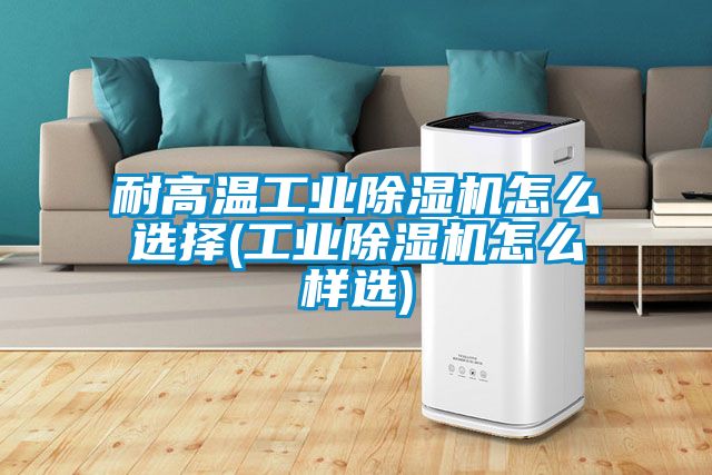 耐高溫工業(yè)除濕機怎么選擇(工業(yè)除濕機怎么樣選)