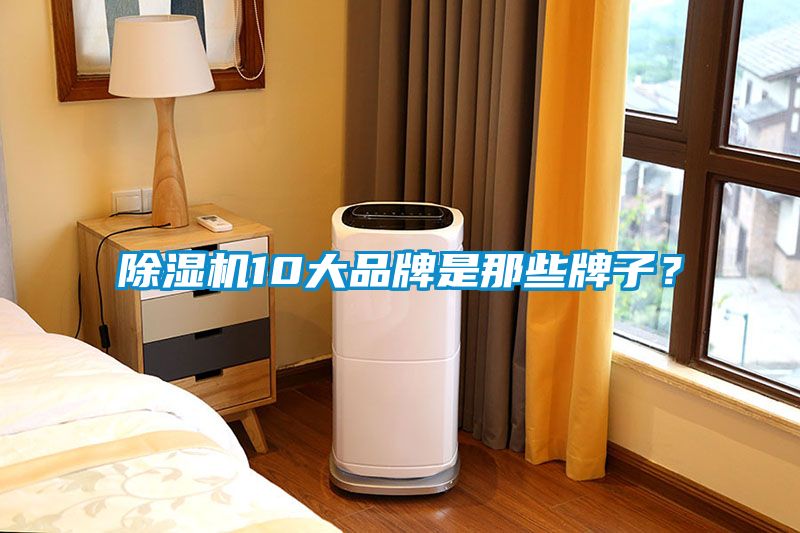 除濕機10大品牌是那些牌子？